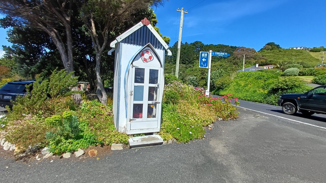 Photo of Outdoor in Port Waikato
