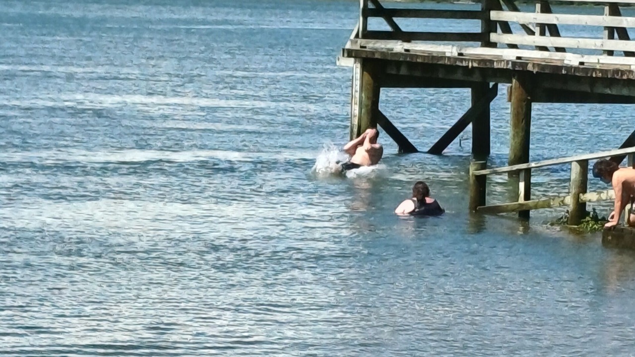 Photo of Others in Port Waikato