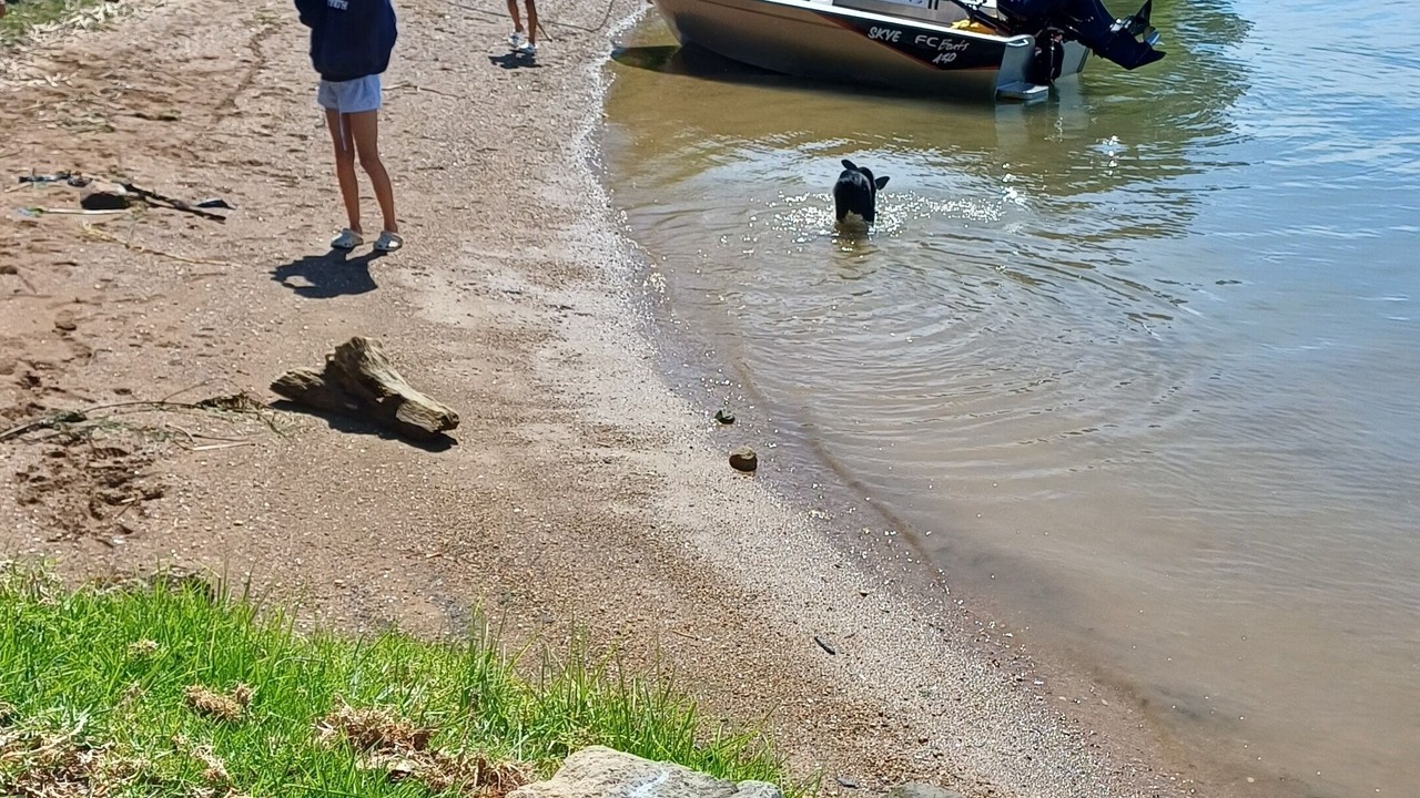 Photo of Others in Port Waikato