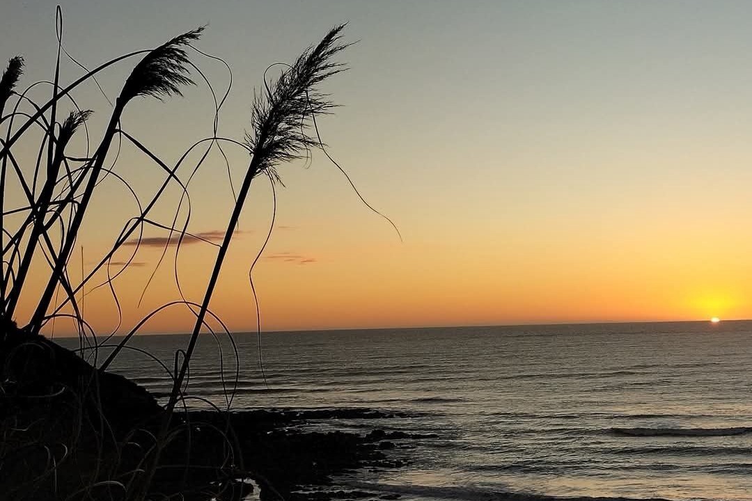 Photo of Others in Port Waikato