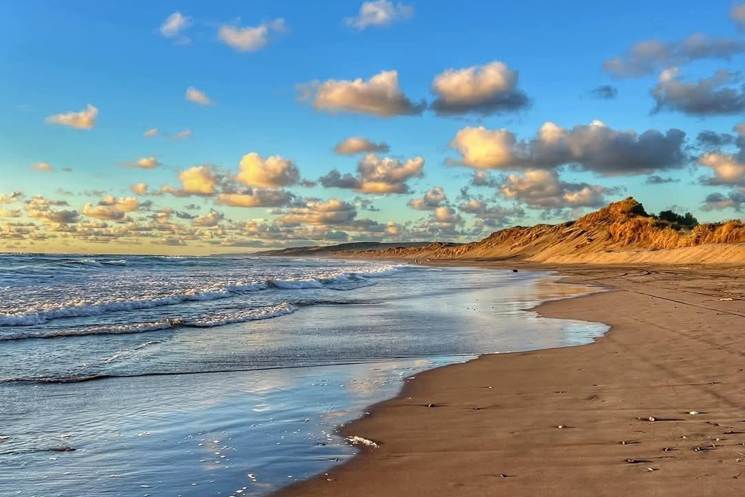 Photo of Others in Port Waikato