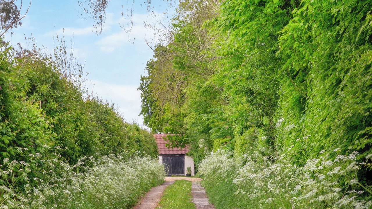 Photo of Outdoor in Cullompton