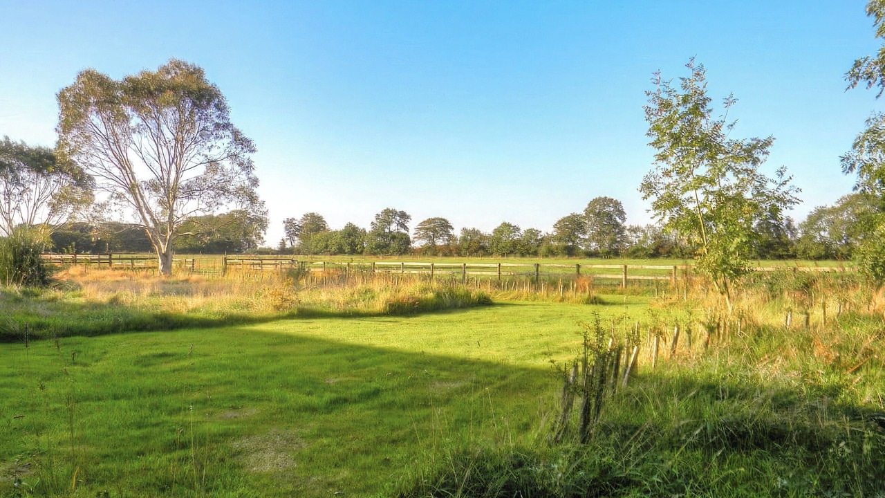 Photo of Others in Cullompton