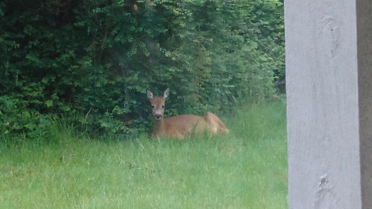 Photo of Others in Holbaek