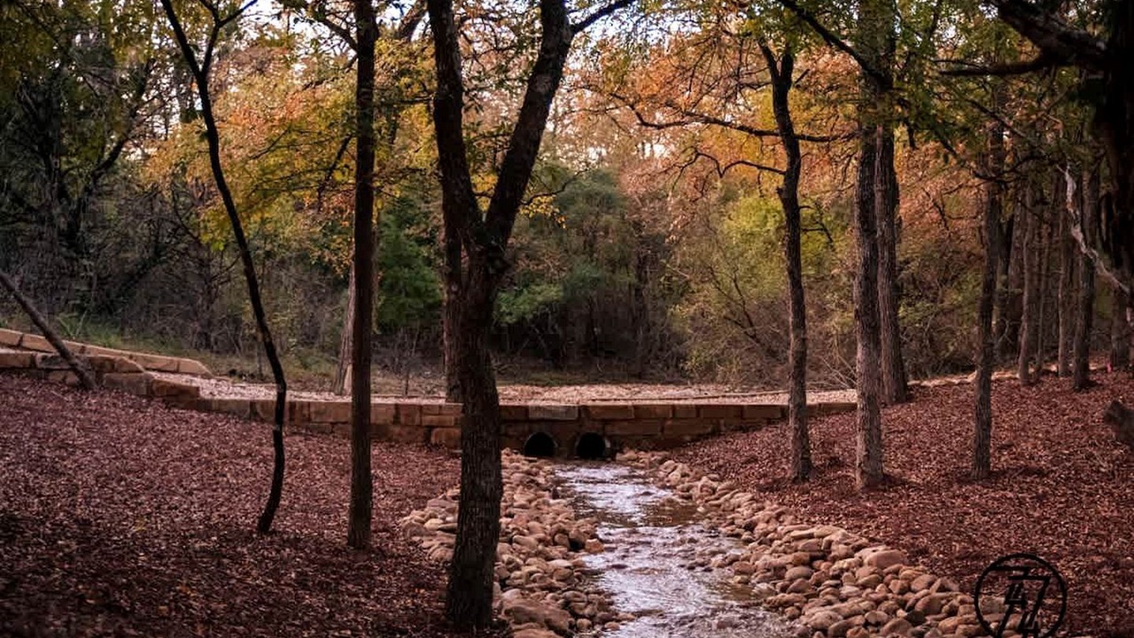 Photo of Others in Austin