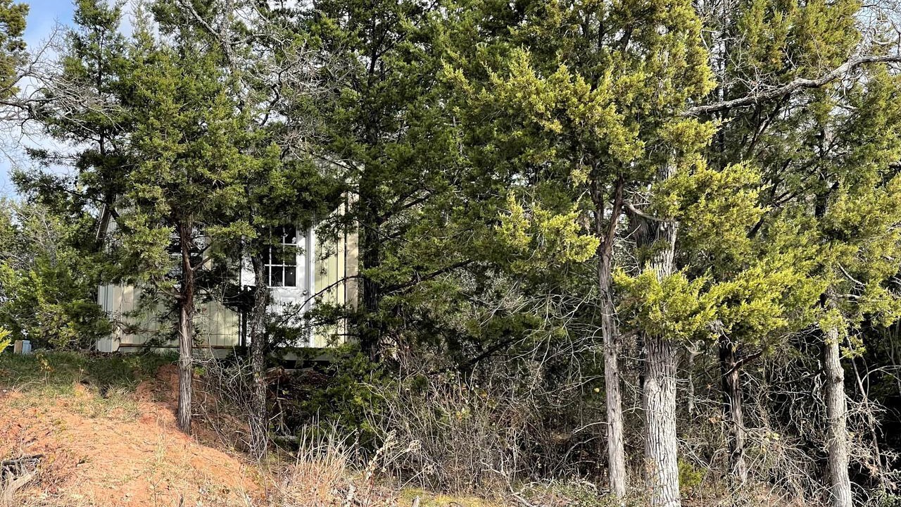 Photo of Outdoor in Jacksboro