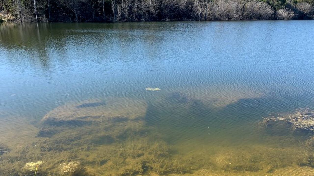Photo of Others in Jacksboro