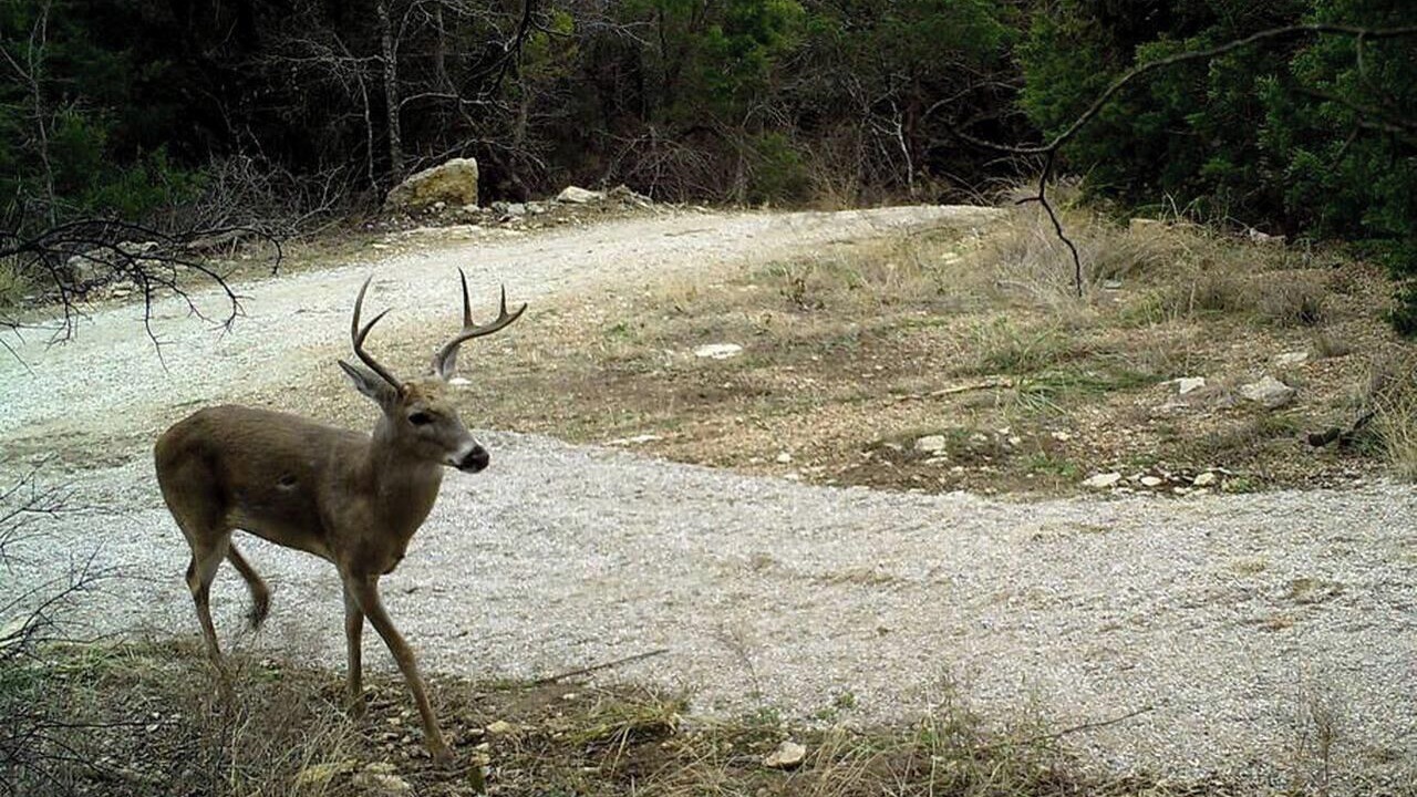 Photo of Others in Jacksboro