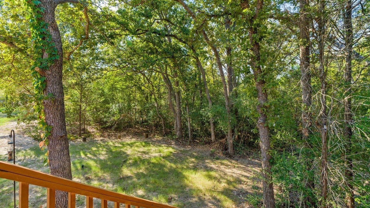 Photo of Outdoor in Bastrop County