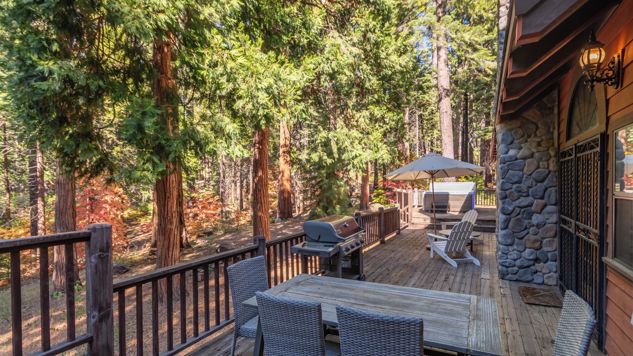 Photo of Outdoor in Camp Connell