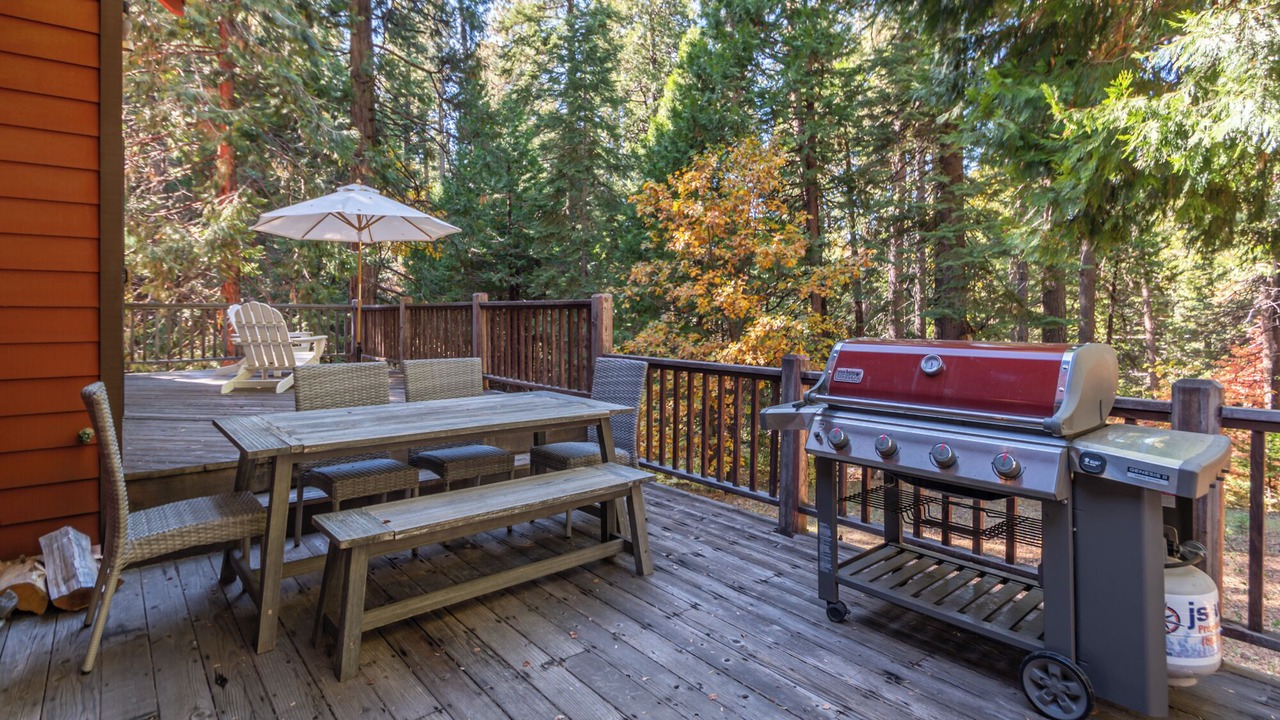 Photo of Outdoor in Camp Connell