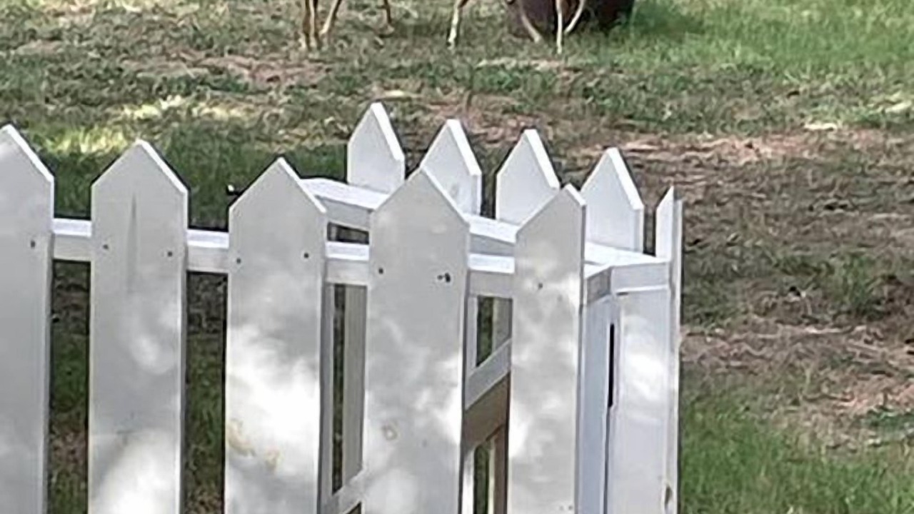 Photo of Others in Bastrop