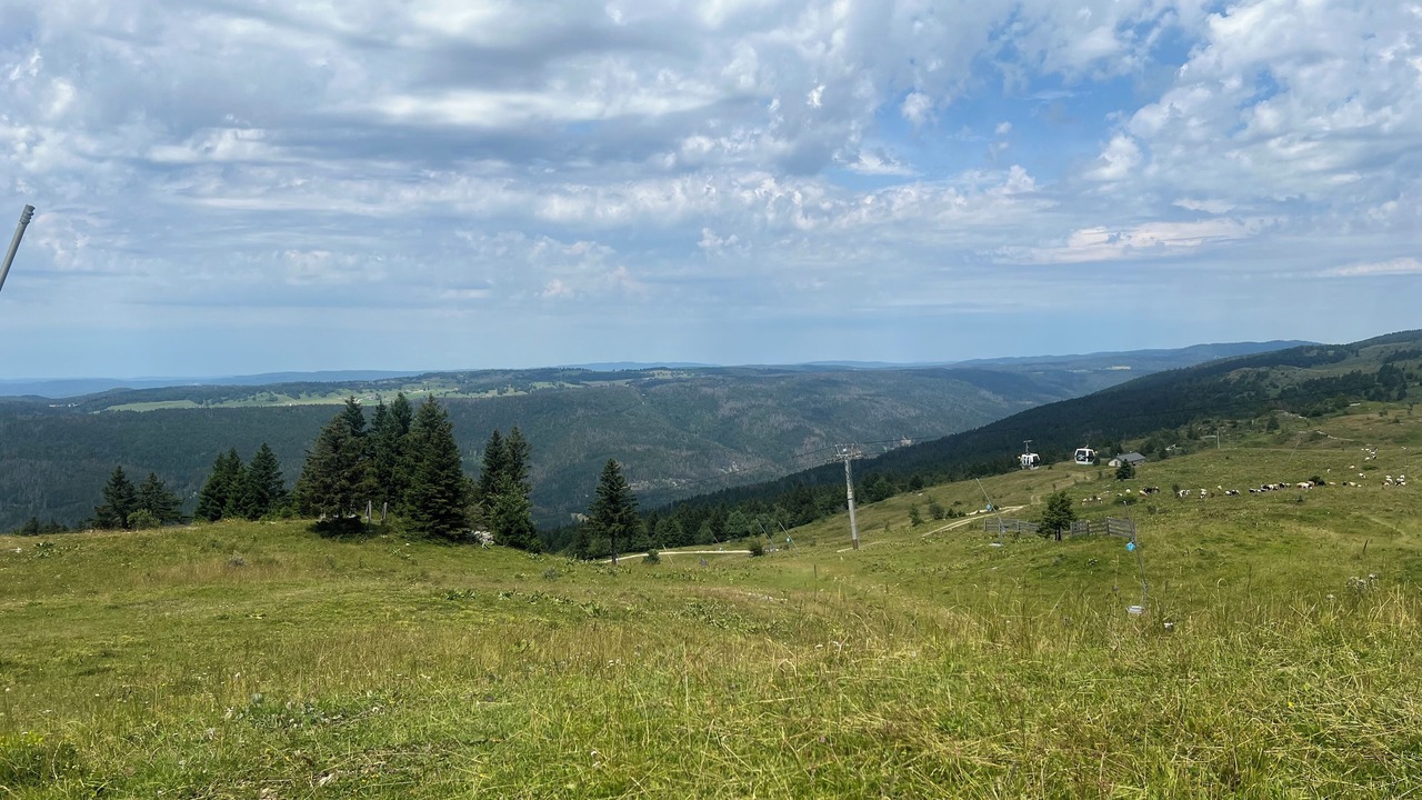 Photo of Others in Lelex