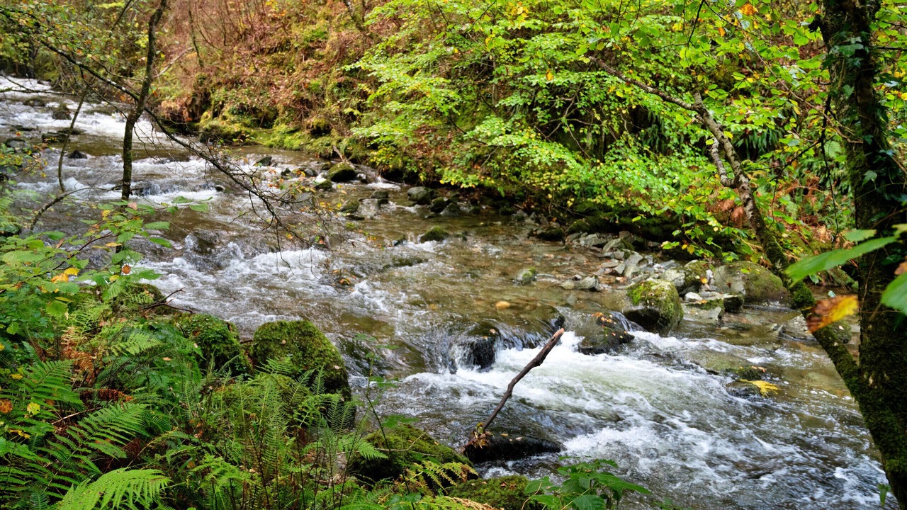 Photo of Others in Dolgellau