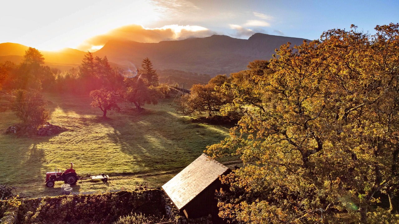 Photo of Others in Dolgellau
