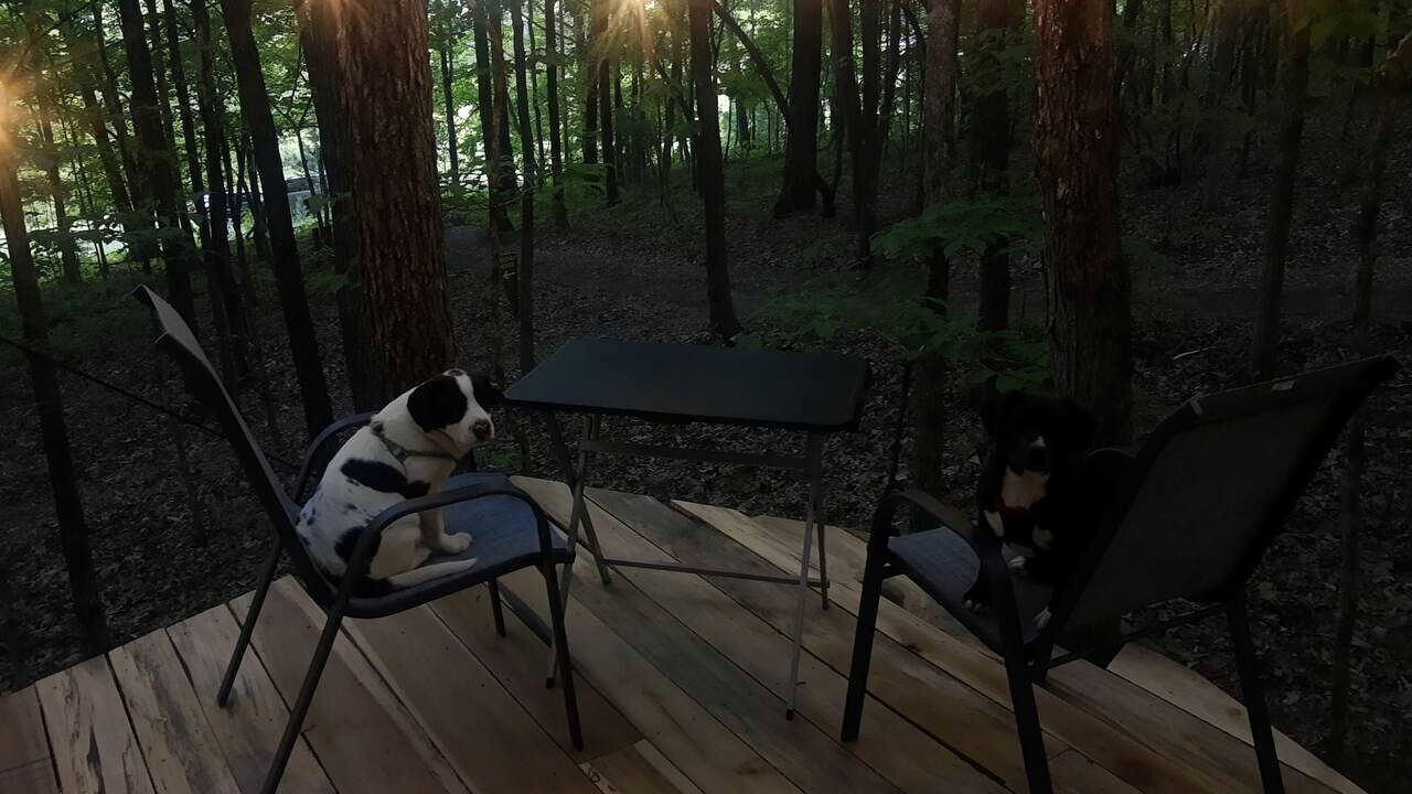 Photo of Outdoor in Grandview
