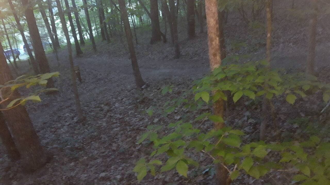 Photo of Others in Grandview