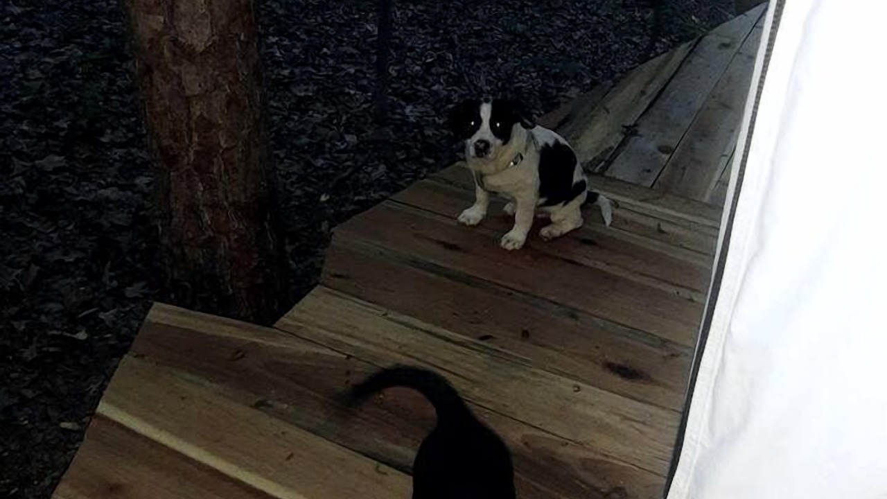 Photo of Patio Balcony in Grandview