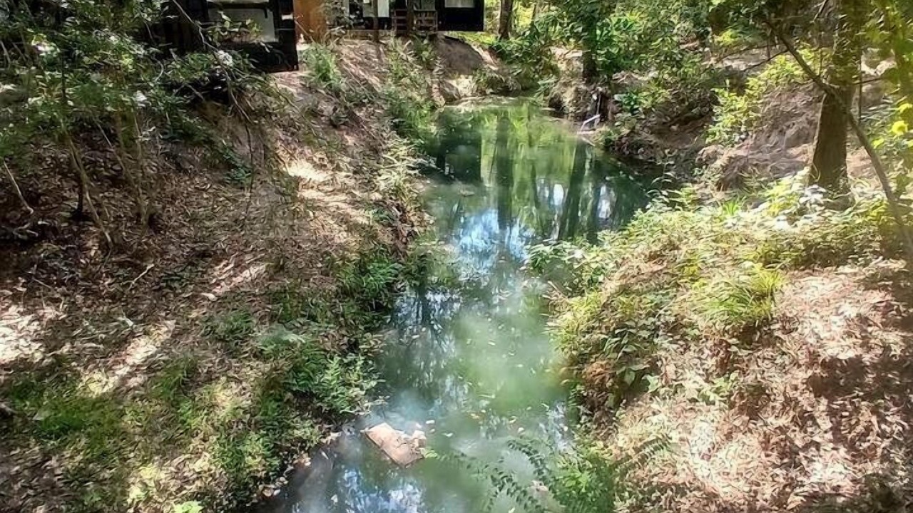 Photo of Outdoor in Plantersville