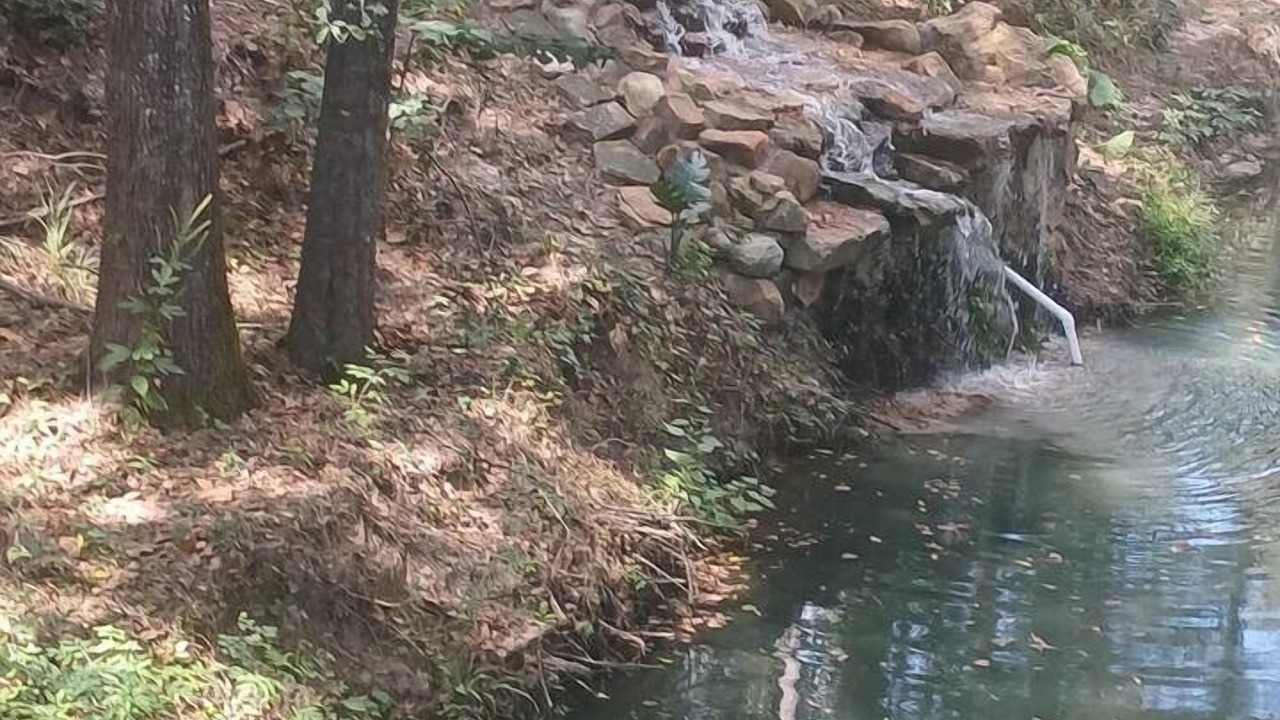 Photo of Outdoor in Plantersville