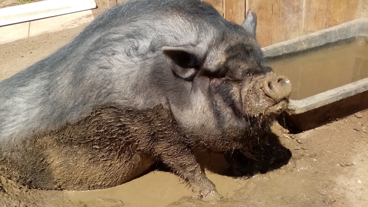 Photo of Others in Saint-Mards-en-Othe