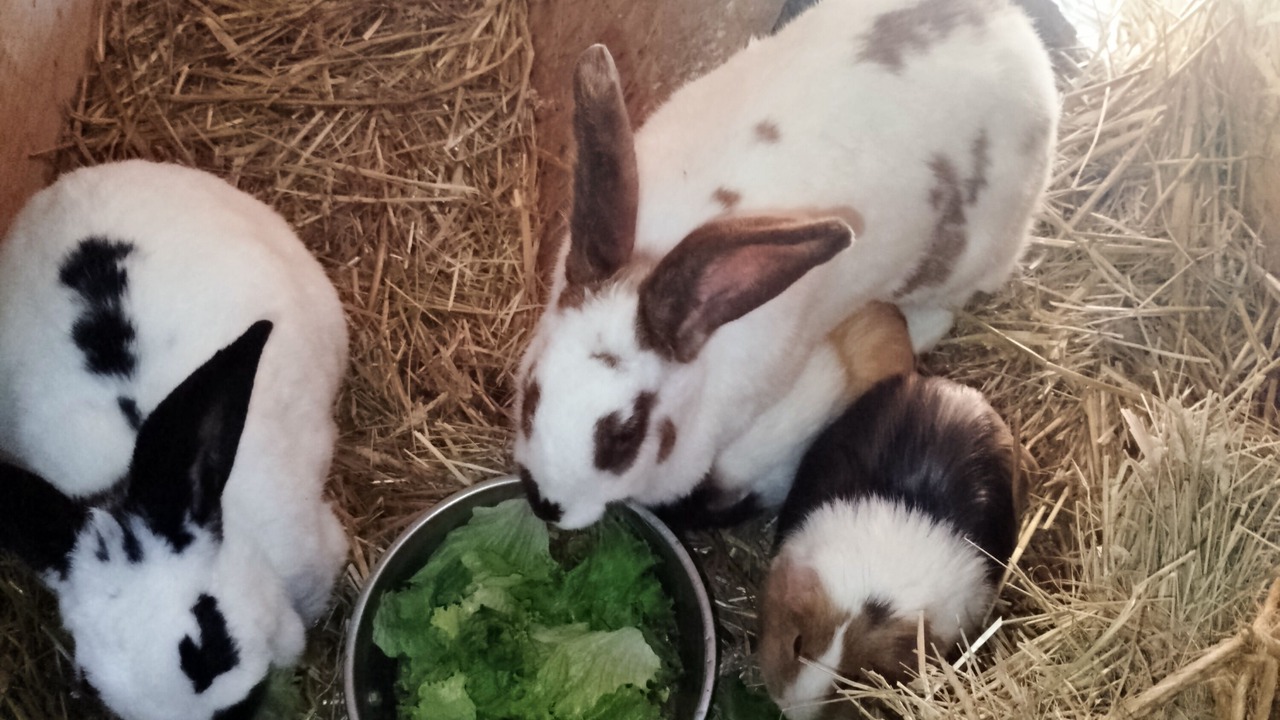 Photo of Others in Saint-Mards-en-Othe