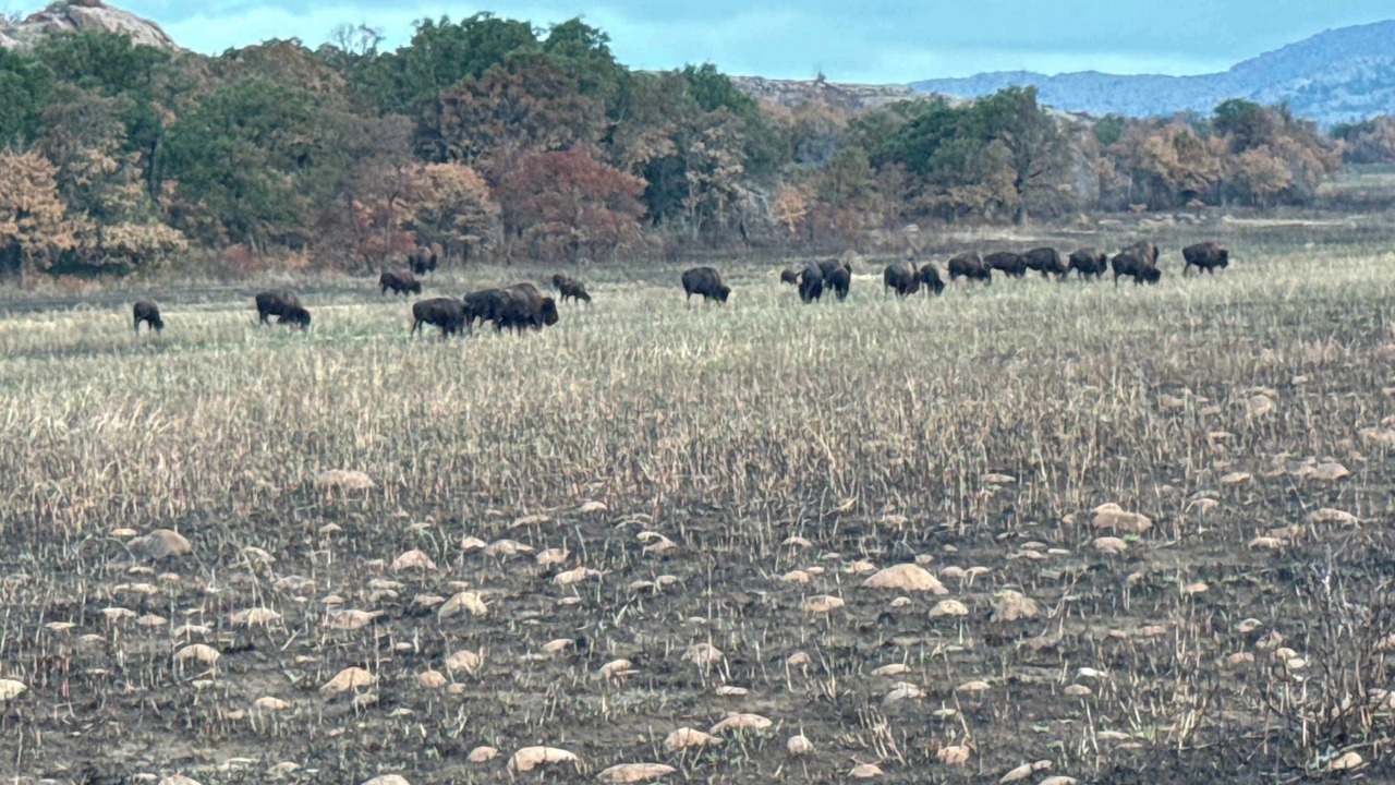 Photo of Others in Medicine Park