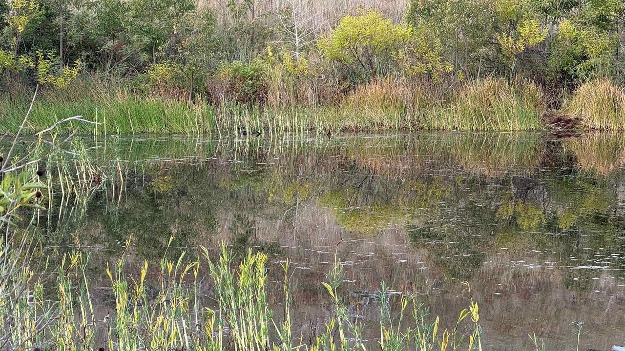 Photo of Others in Medicine Park