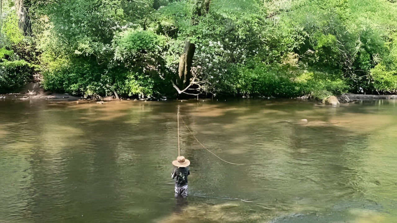 Photo of Outdoor in Franklin