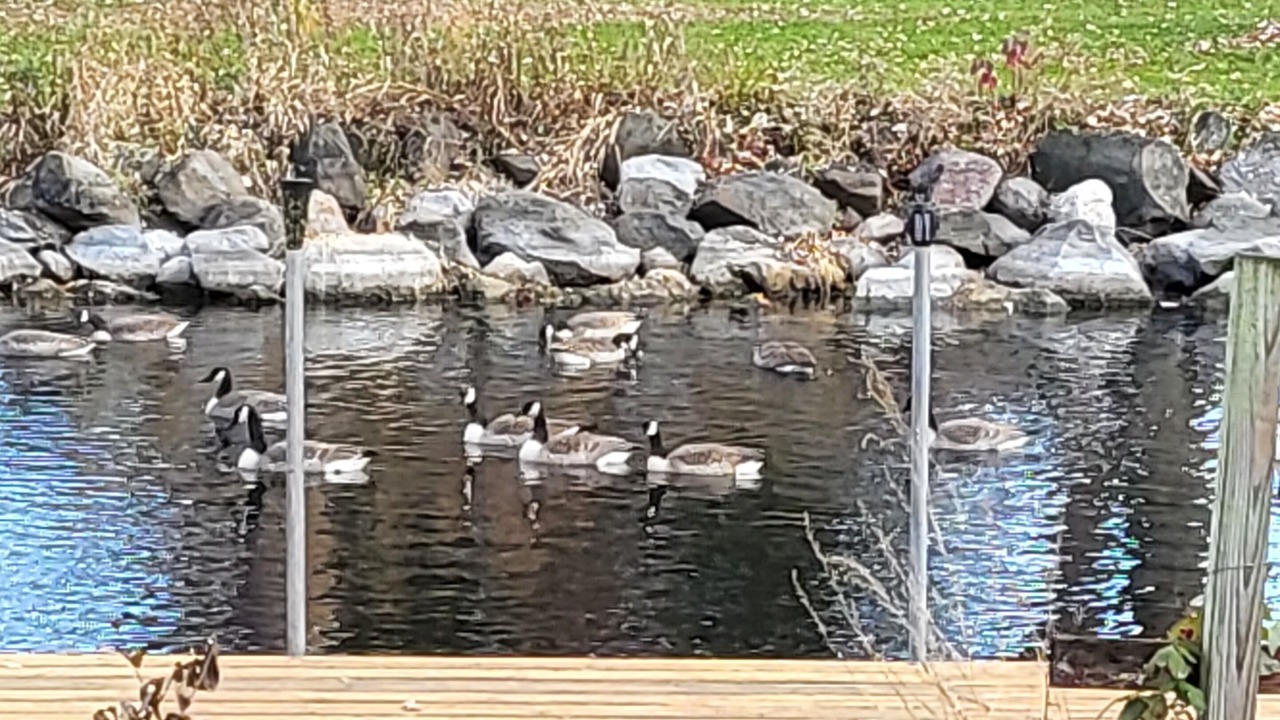 Photo of Others in McFarland