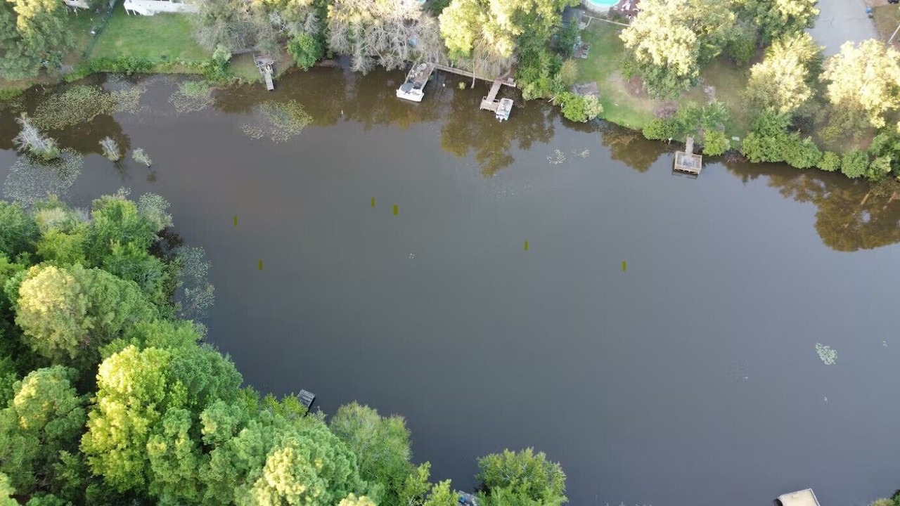 Photo of Outdoor in Westover