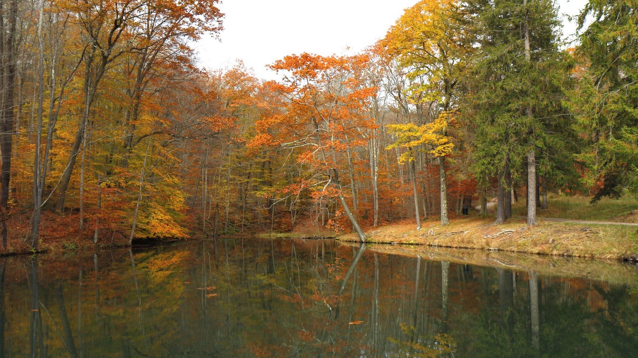 Photo of Others in Seven Springs