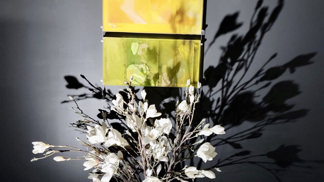 Photo of Others in North Waltham