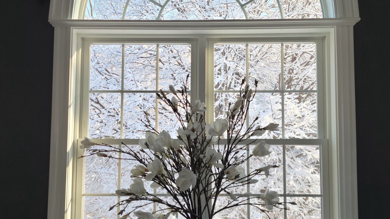 Photo of Others in North Waltham