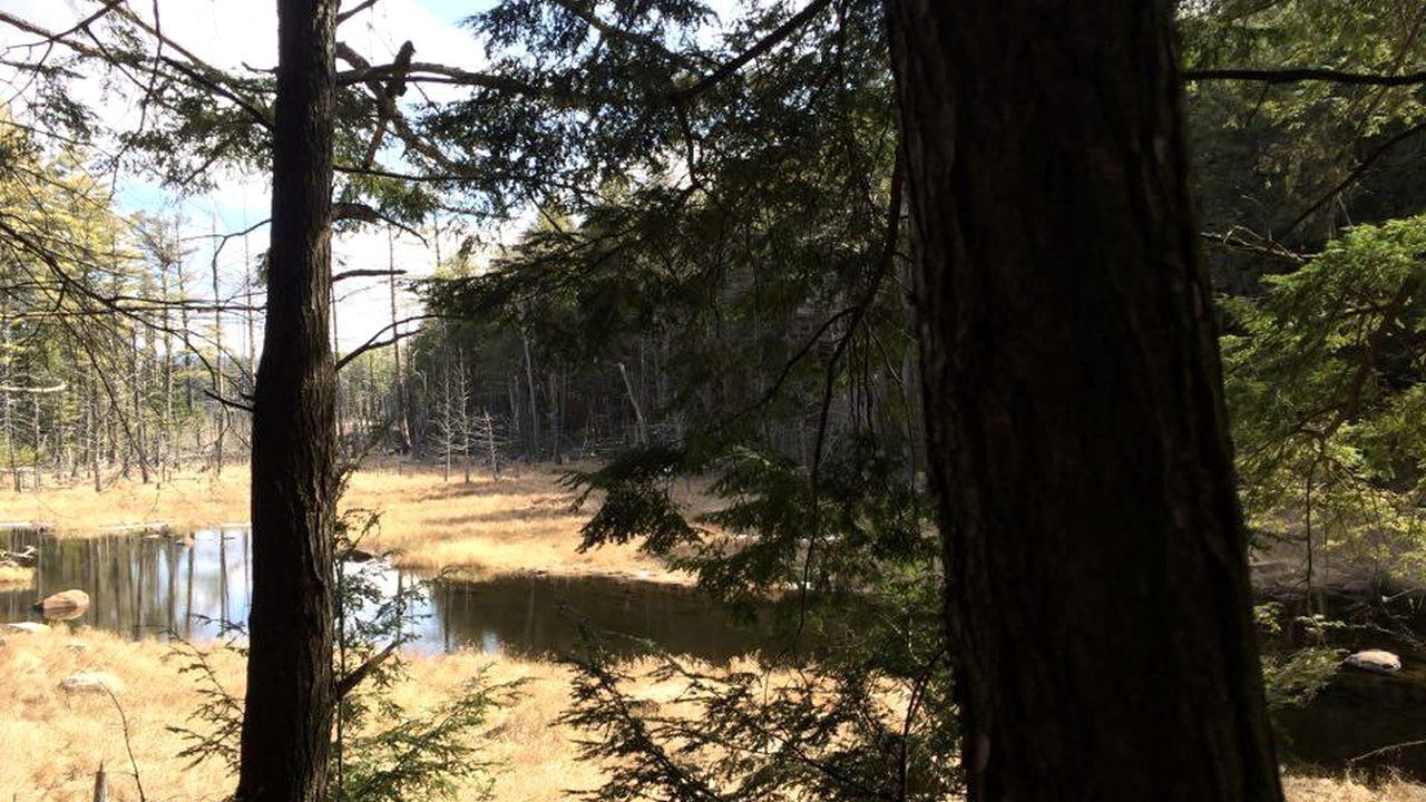 Photo of Others in Schroon Lake