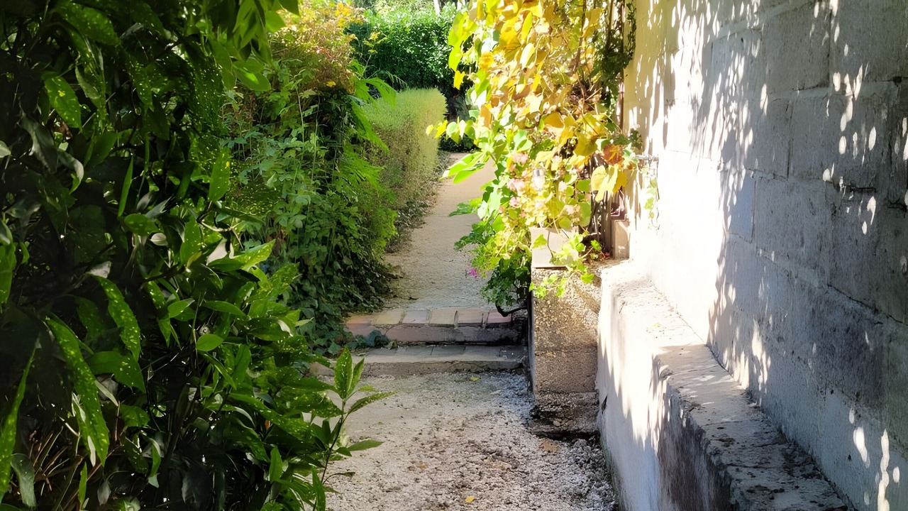 Photo of Outdoor in Saint-Germain-du-Salembre