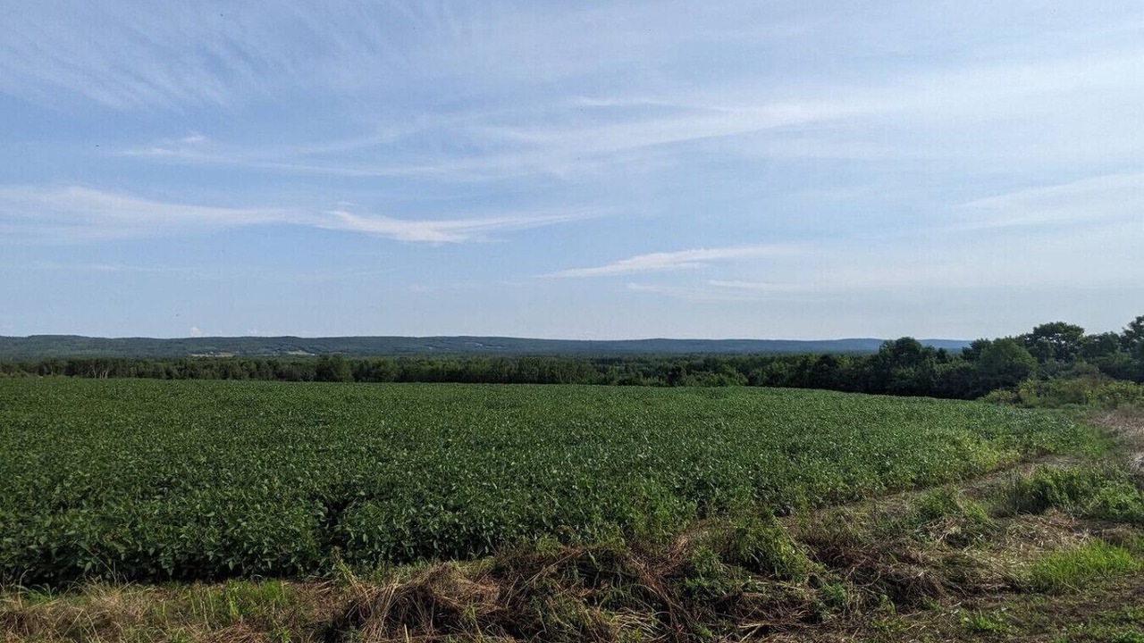 Photo of Others in Middleton