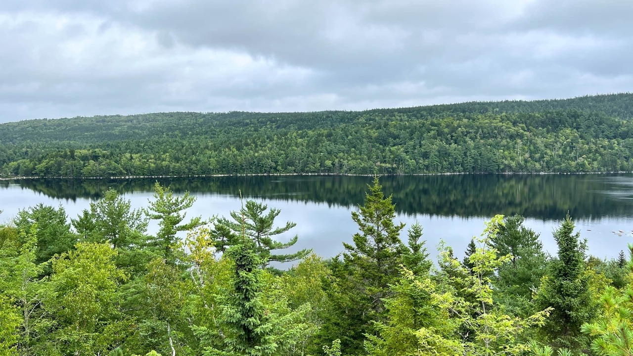 Photo of Others in Porters Lake