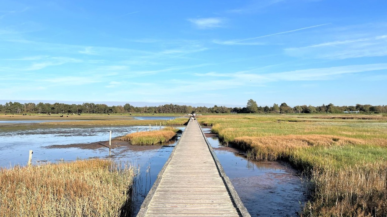 Photo of Outdoor in Hojby