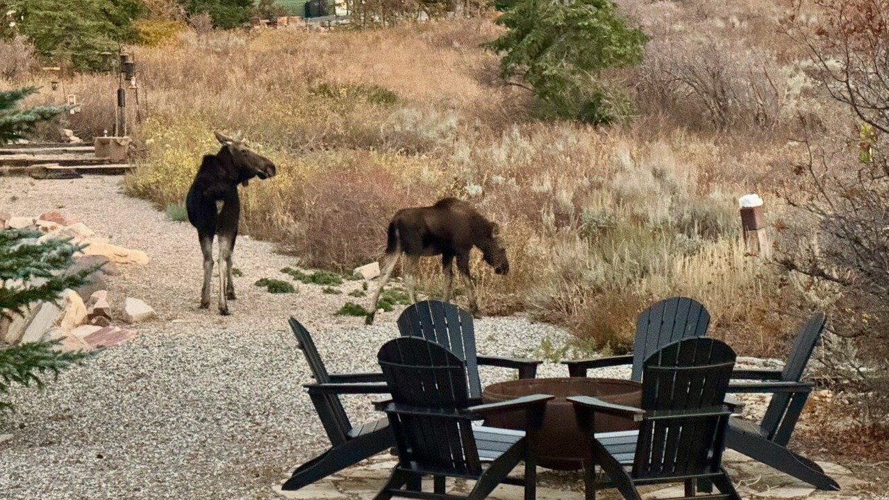 Photo of Outdoor in Summit Park
