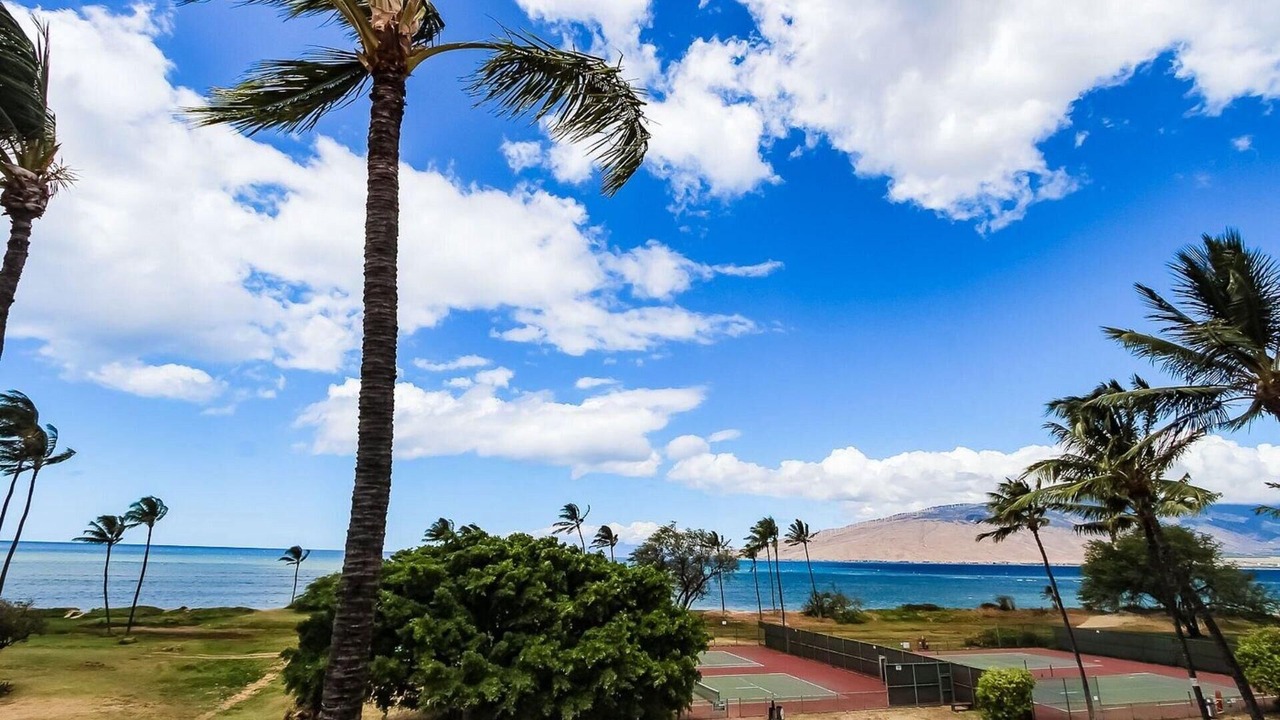 Photo of Others in Kihei