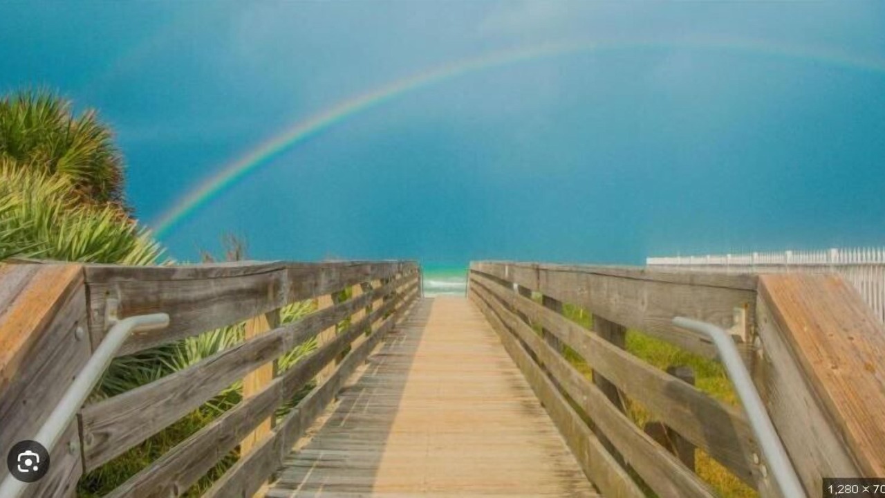 Photo of Outdoor in New Smyrna Beach