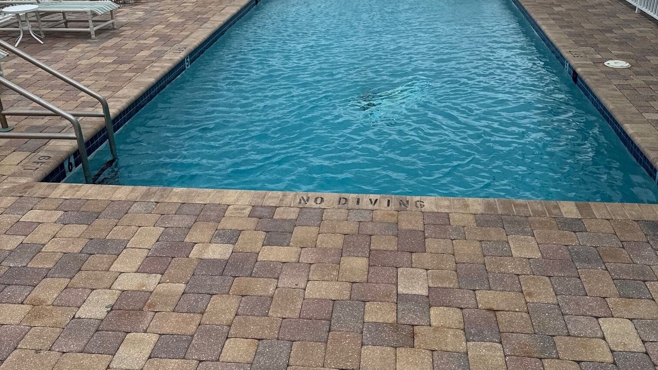 Photo of Outdoor in New Smyrna Beach