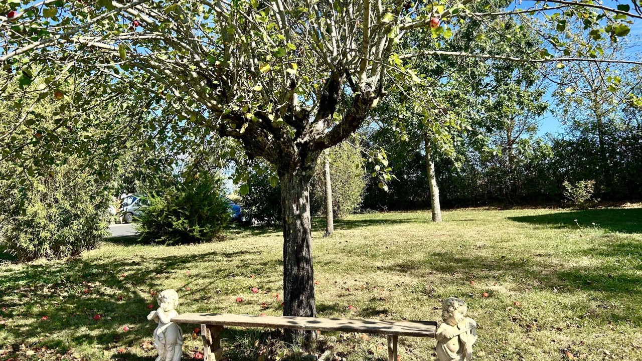 Photo of Outdoor in Roumegoux