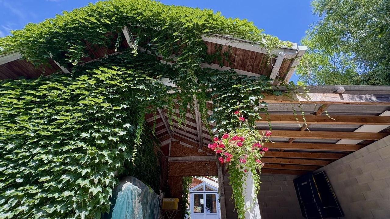 Photo of Outdoor in Roumegoux