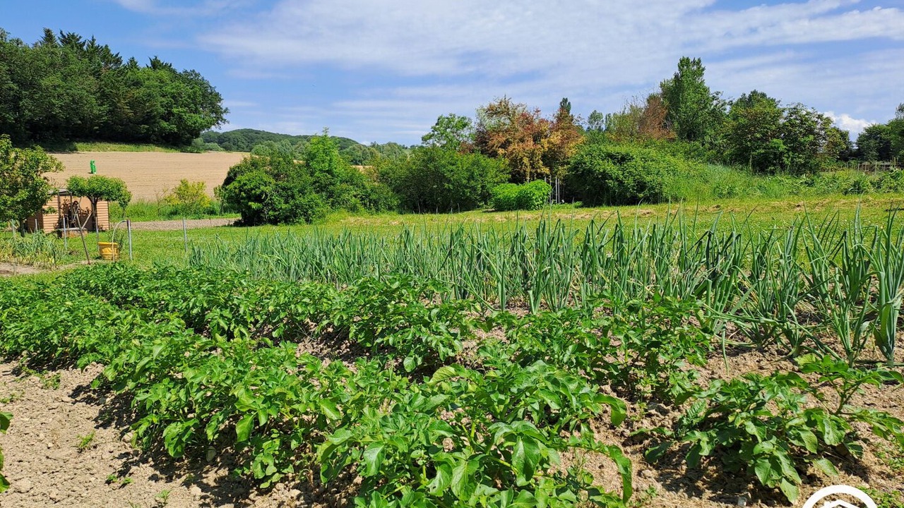 Photo of Outdoor in Venes