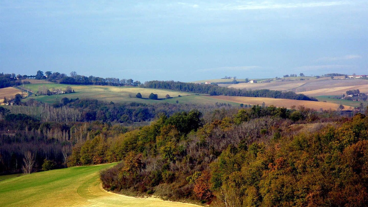 Photo of Others in Rabastens