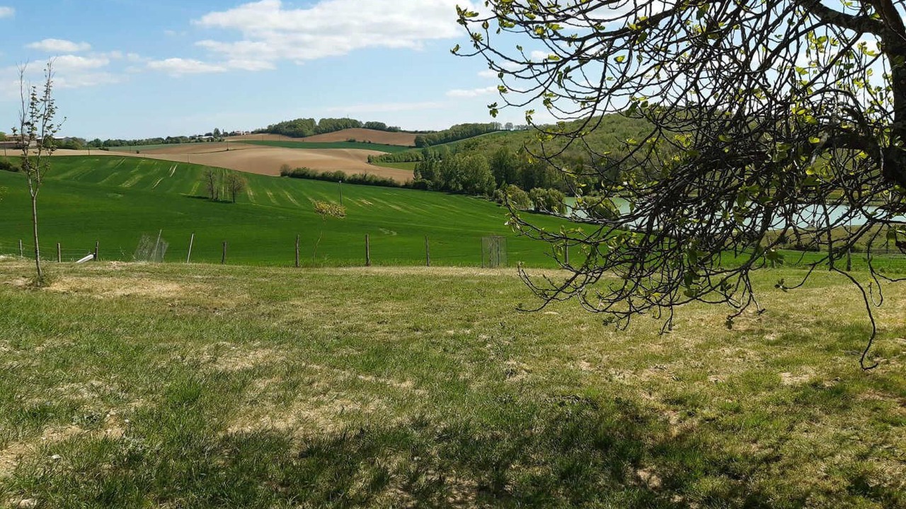 Photo of Others in Lavaur
