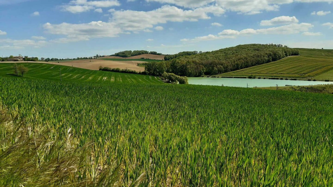 Photo of Others in Lavaur