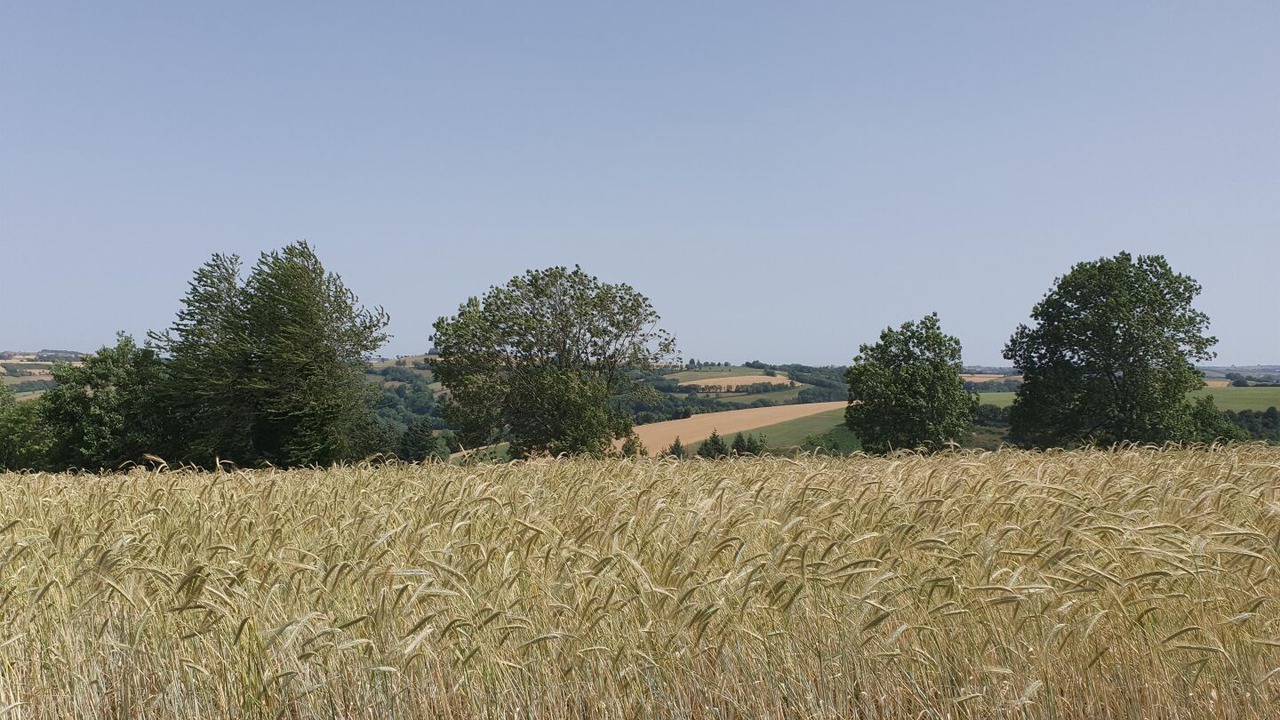 Photo of Others in Saint-Pierre-de-Trivisy